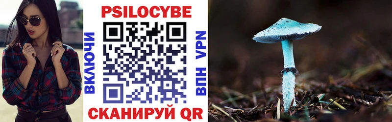 блэк спрут сайт  закладка  Козельск  Псилоцибиновые грибы Psilocybe 